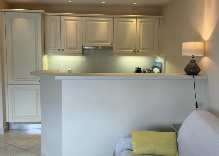 Jean Bart , Avec Parking Prive, Meuble Tourisme Classe 3 Etoiles Apartment Mandelieu